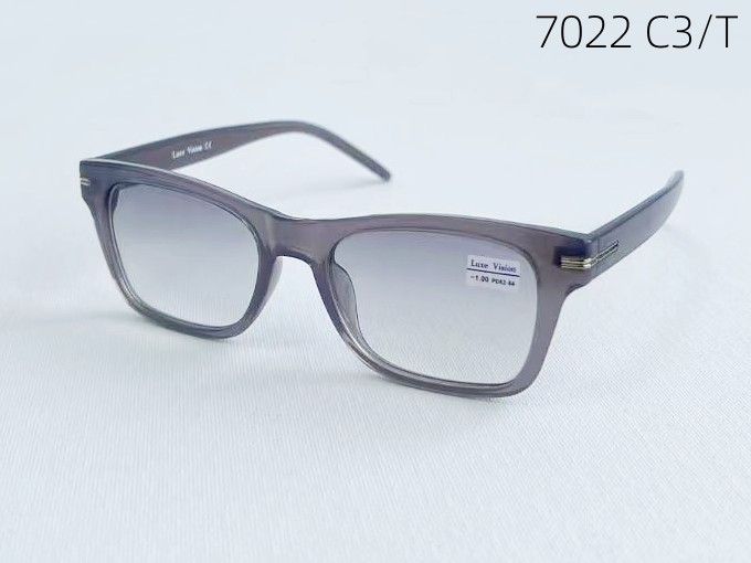 LUXE VISION 7022 C3 СЕР/T